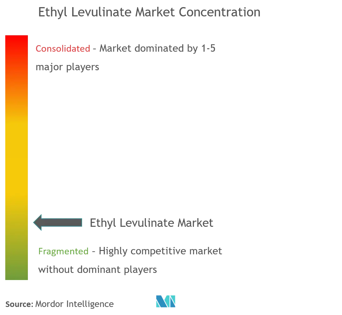 Ethyl Levulinate Market Concentration.png