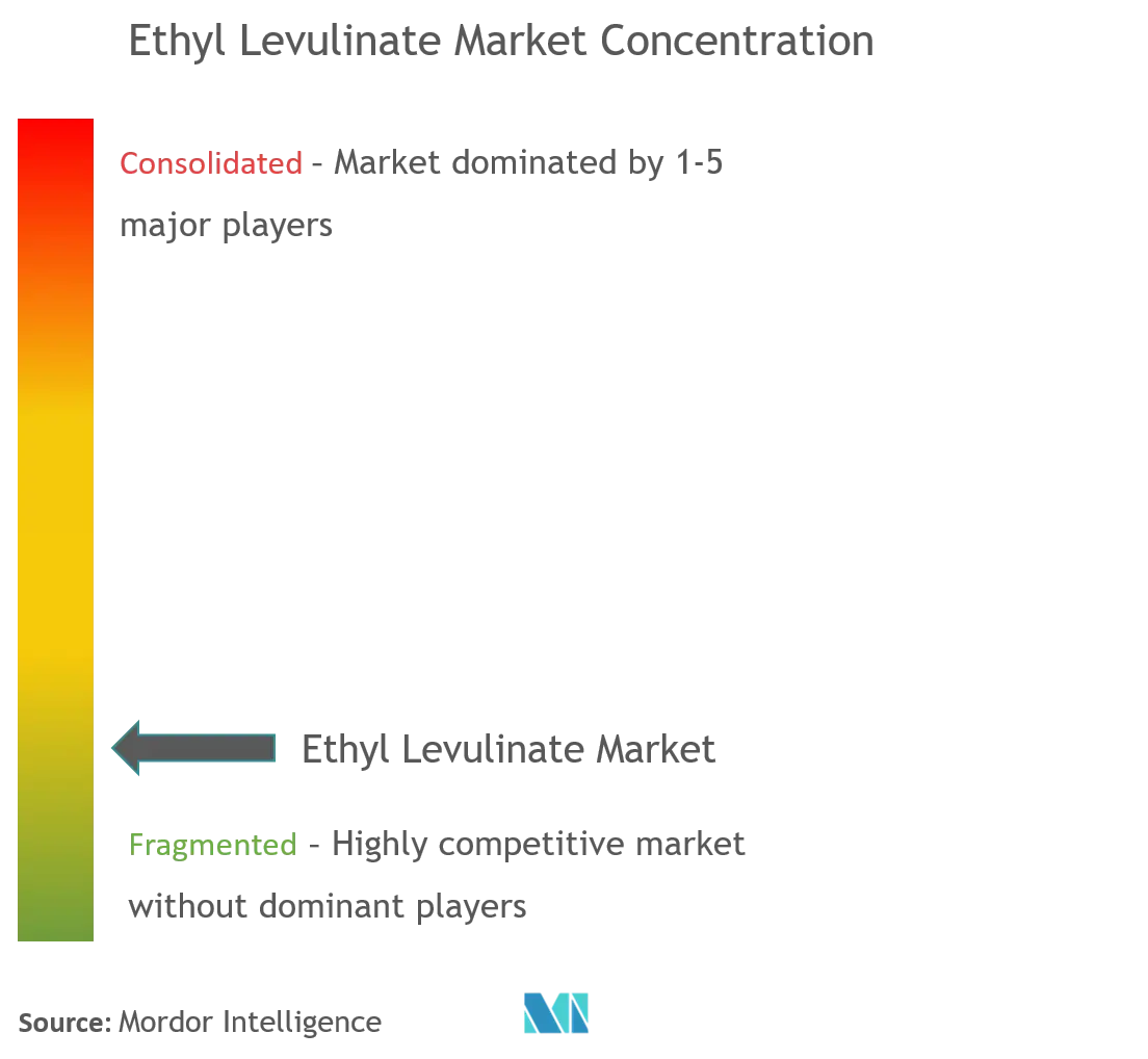 Ethyl Levulinate Market Concentration