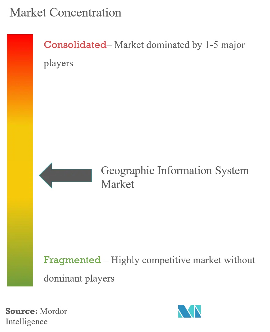 Geographic Information System Market Concentration