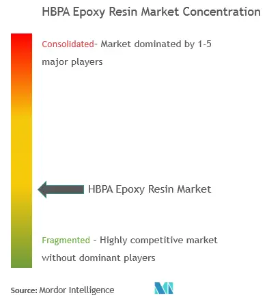 HBPA Epoxy Resin Market - Market Concentration.PNG