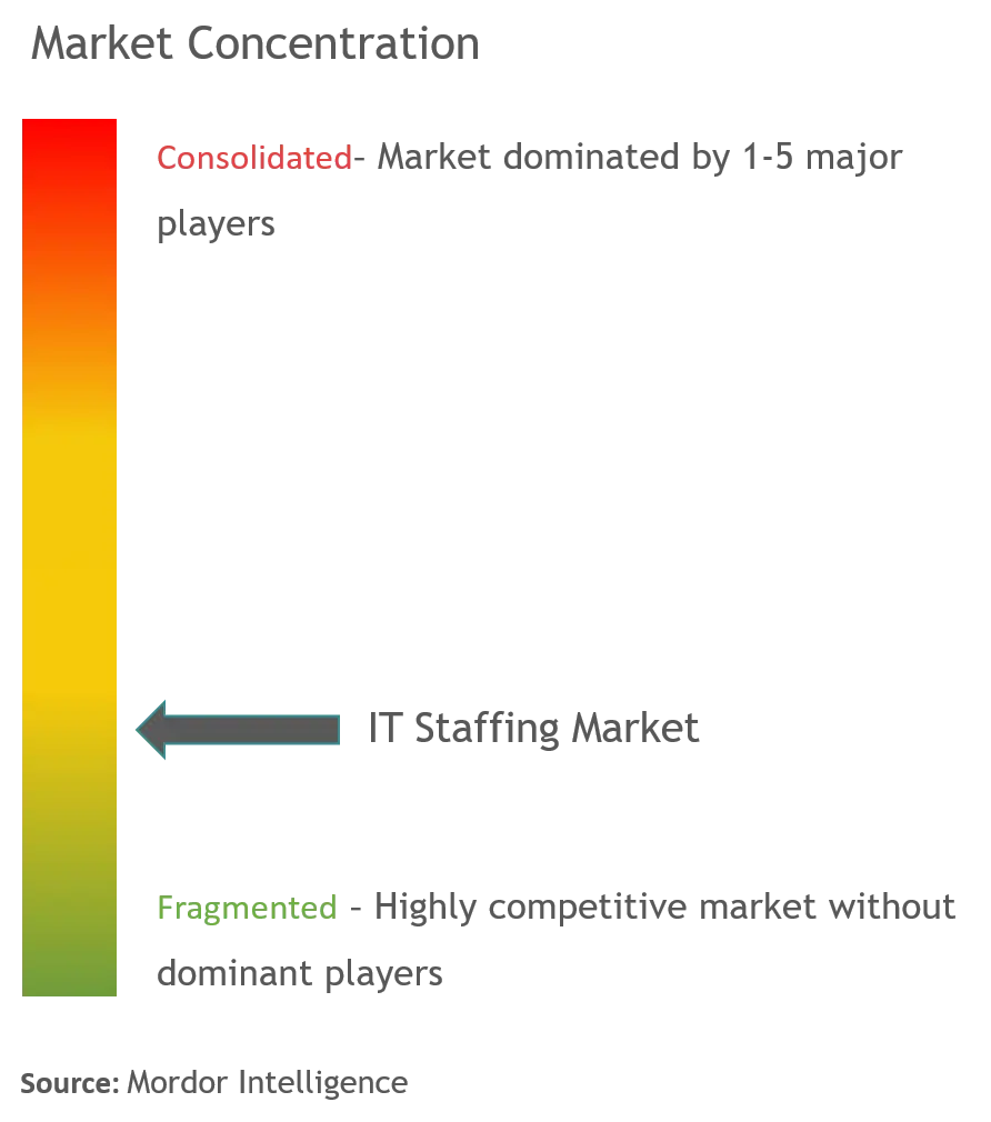 IT Staffing Market Concentration