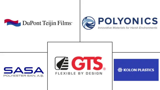 polyethylene naphthalate industry major players	