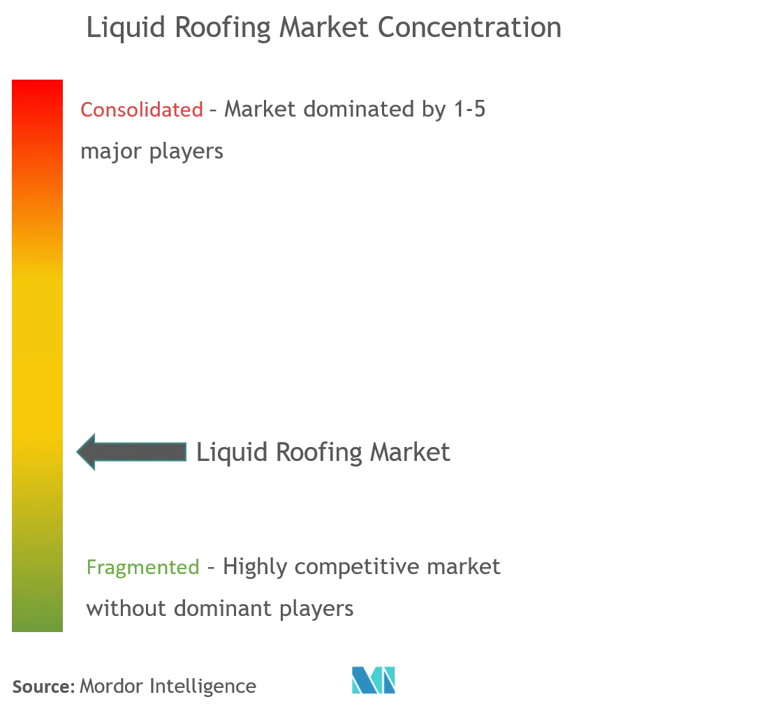 Liquid Roofing Market Concentration.png
