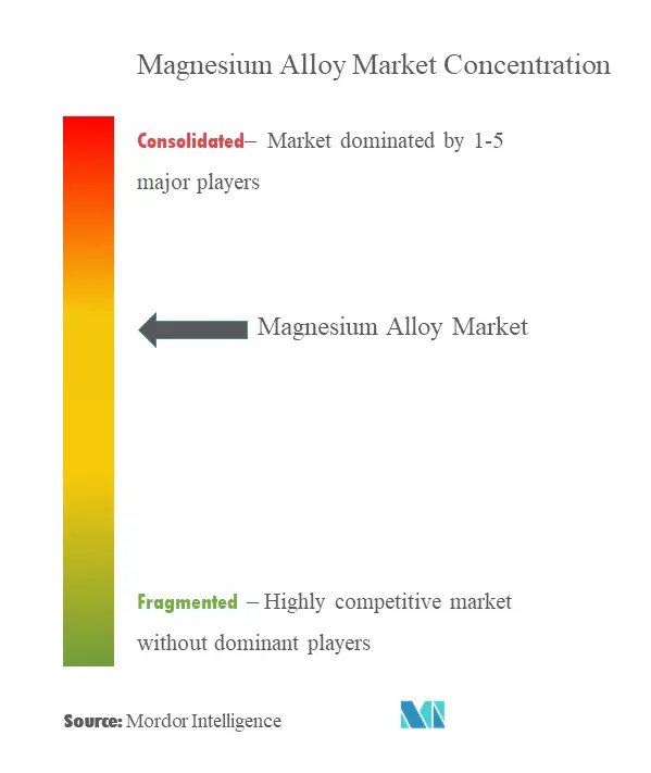 Magnesium Alloy Market - Market Concentration.png