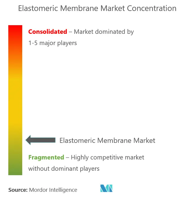 Market Concenetration - Elastomeric Membrane Market.PNG