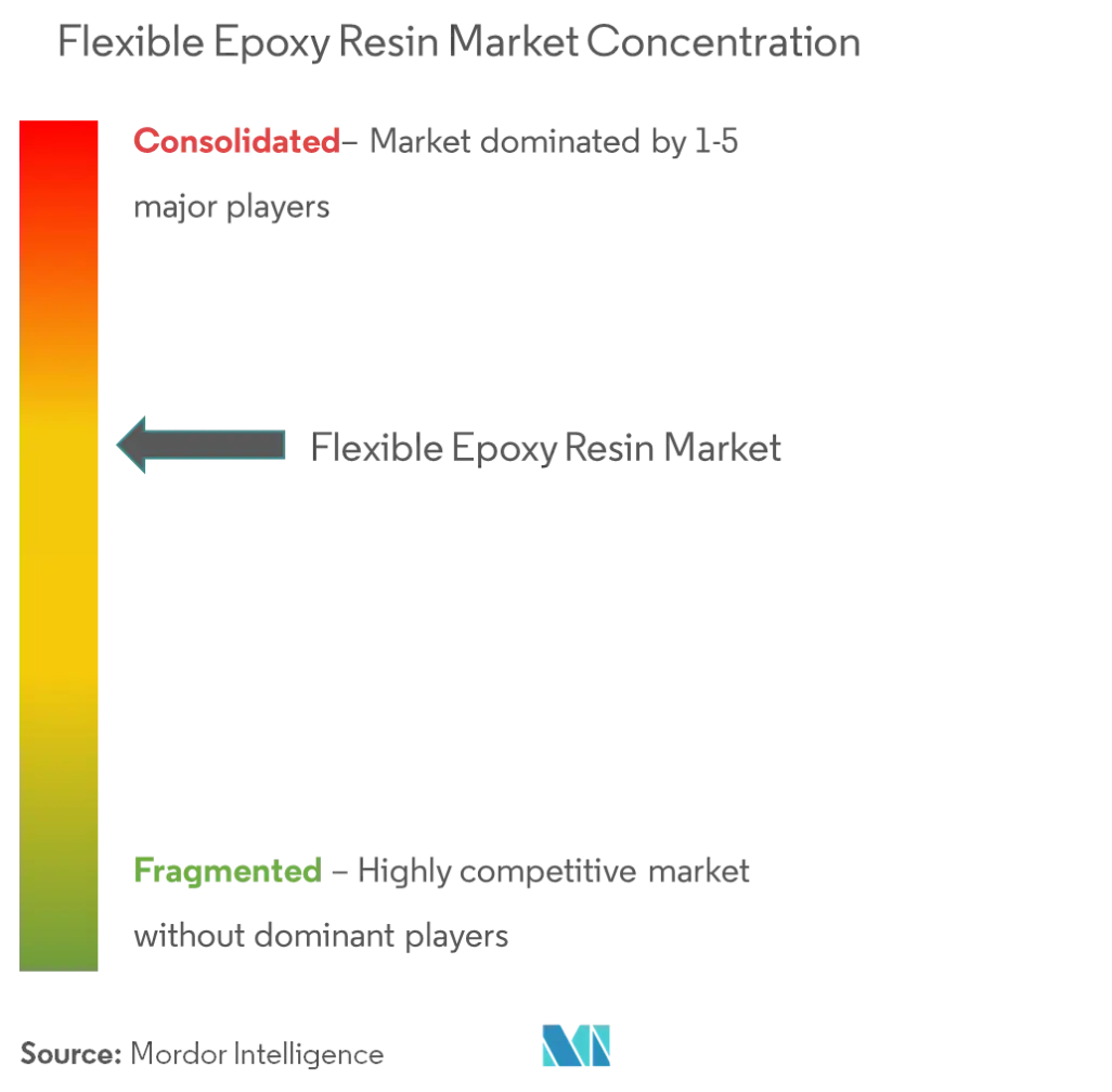 Resina epoxi flexibleConcentración del Mercado