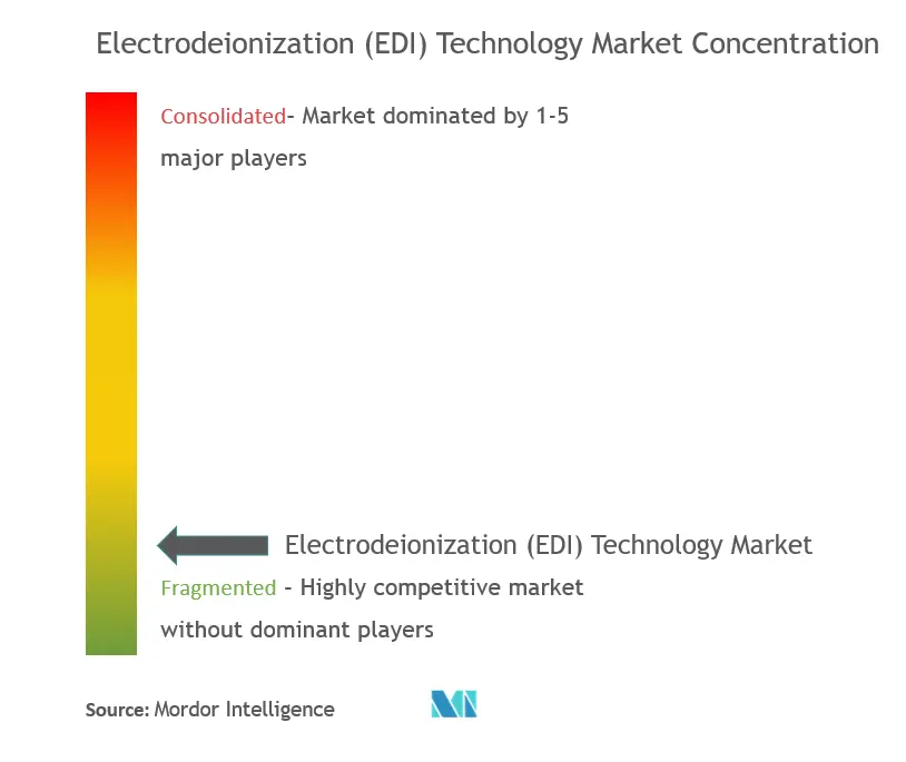 杜邦、SUEZ、Evoqua Water Technologies LLC、Samco Technologies Inc.、Deionx。