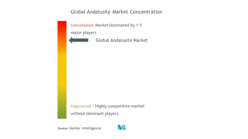 Market Concentration - Global Andalusite Market.png