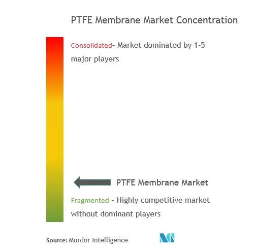 Market Concentration - PTFE Membrane Market.PNG