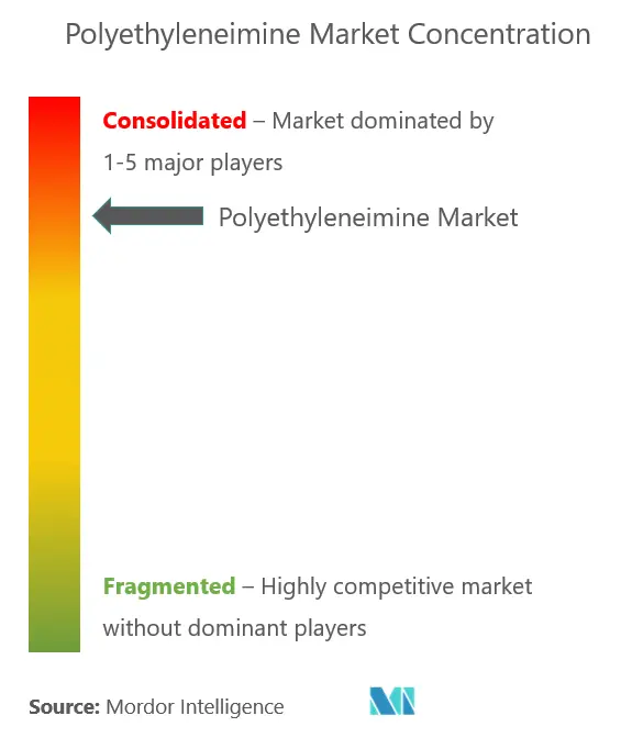 Market Concentration - Polyethyleneimine Market.PNG