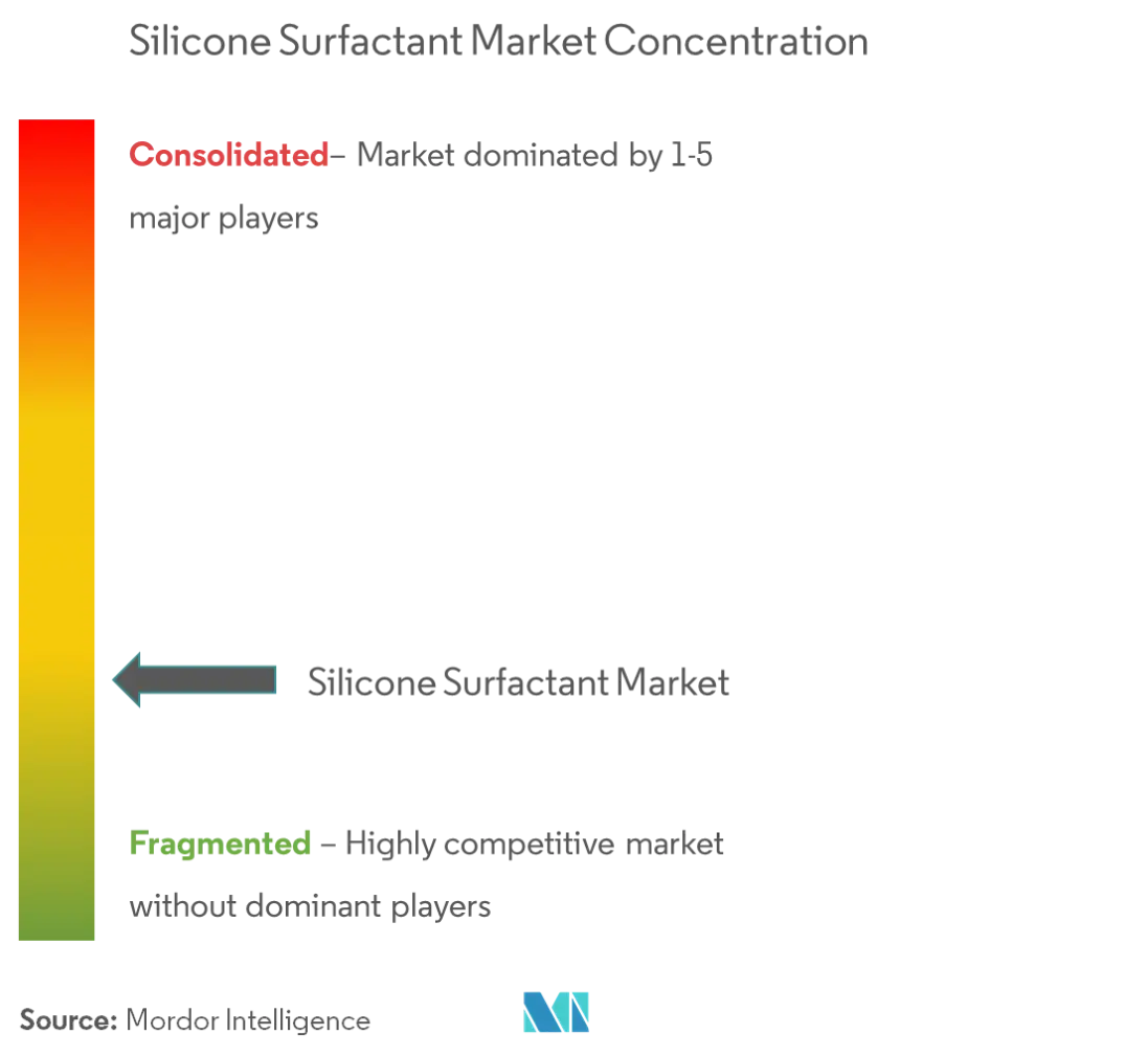 Innospec Momentive Elkem Silicones 信越化学有限公司 赢创工业股份公司