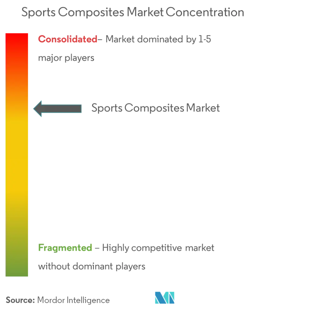 Market Concentration - Sports Composites Market.png