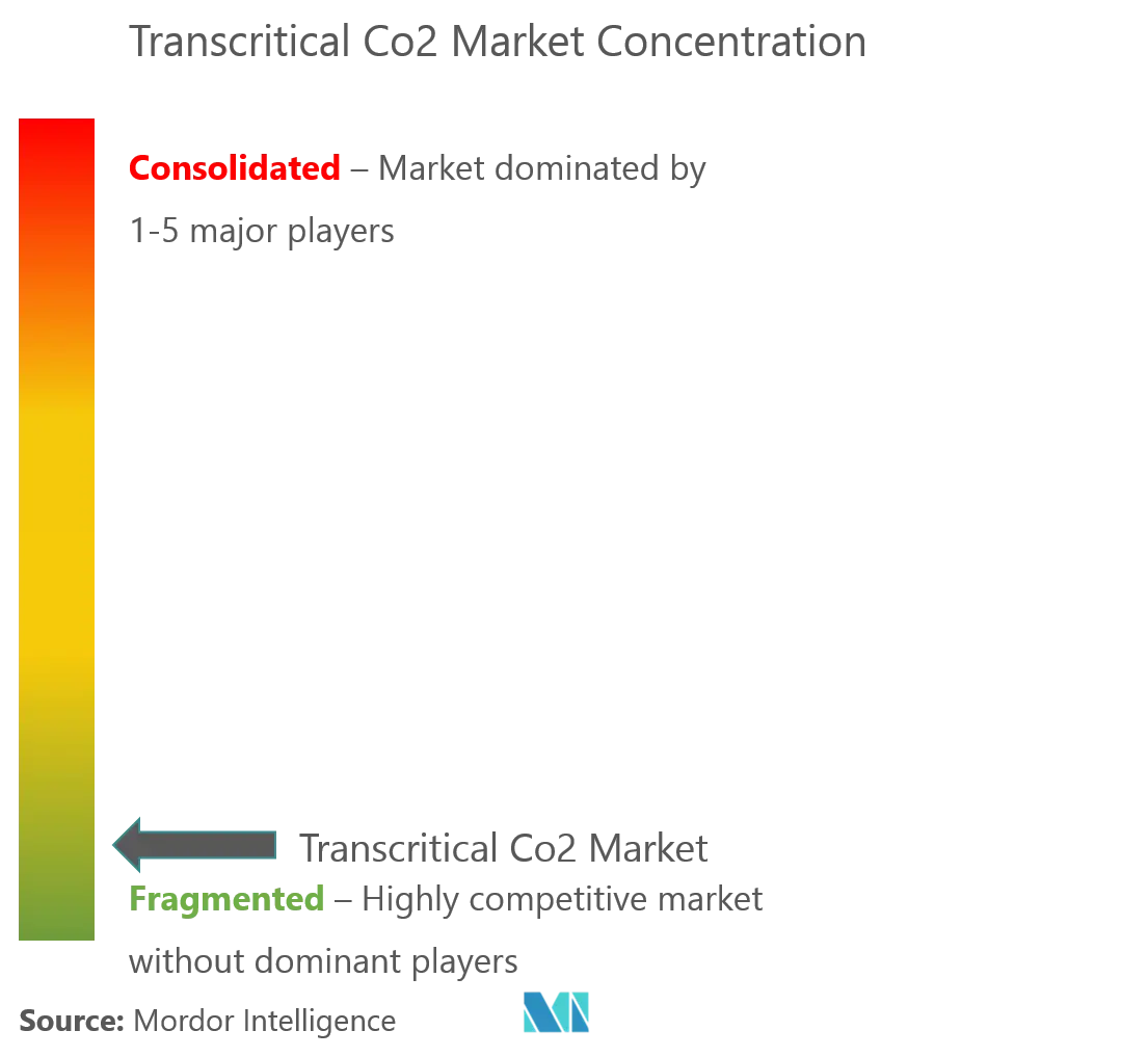 Transkritisches CO2Marktkonzentration