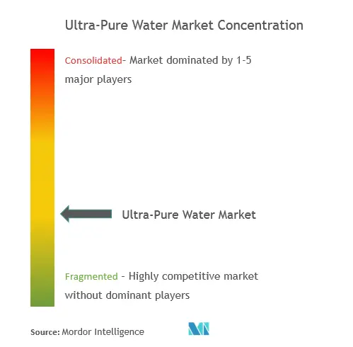 Market Concentration - Ultra-Pure Water Market.PNG
