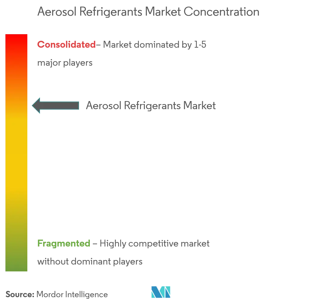 Tập đoàn Arkema, Groupe Gazechim, Honeywell International Inc, The Chemours Company, DAIKIN INDUSTRIES, Ltd.