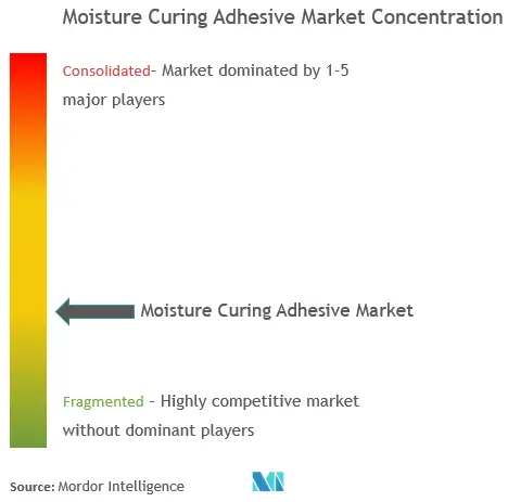 Moisture Curing Adhesive Market Concentration