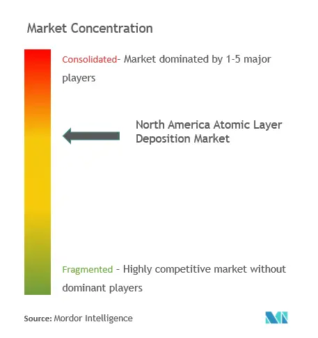 Dépôt de la couche atomique en Amérique du NordConcentration du marché