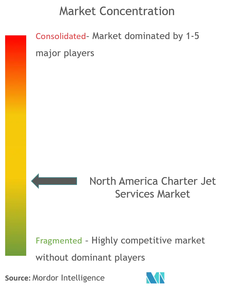 North America Charter Jet Services Market_competitive landscape.png