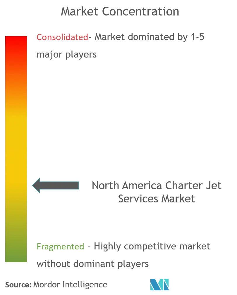 Servicios de aviones chárter en América del NorteConcentración del Mercado