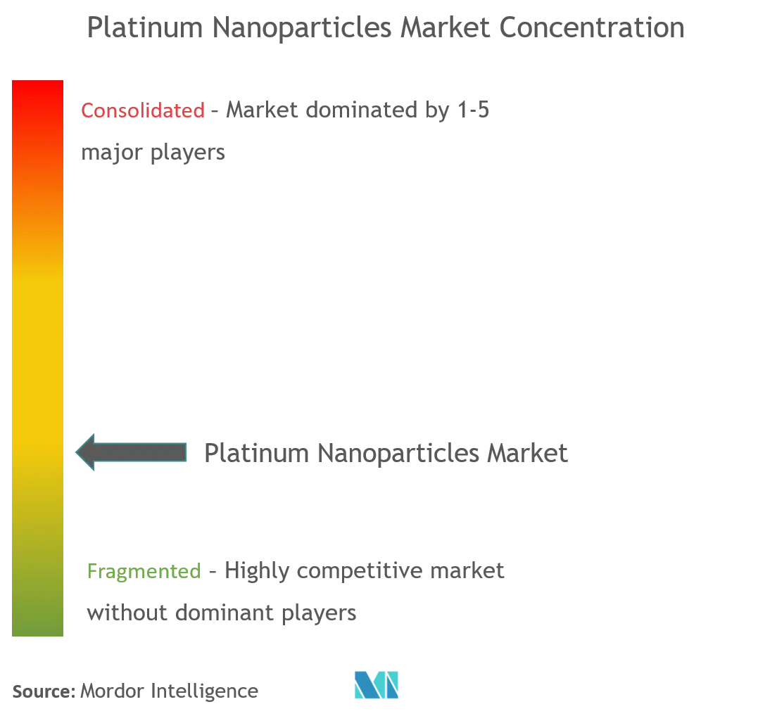 Nanopartículas de platinoConcentración del Mercado