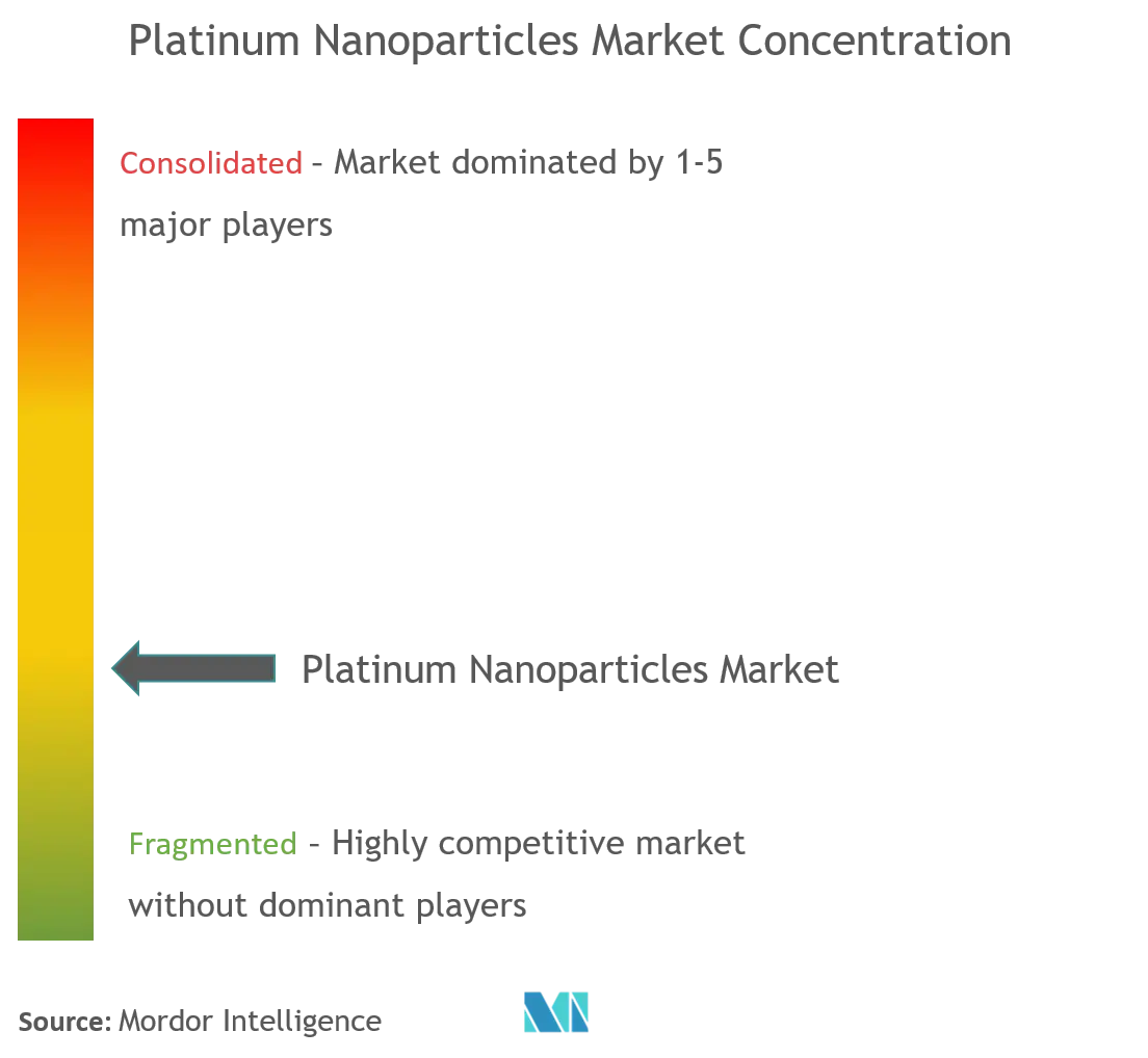 Platin-NanopartikelMarktkonzentration