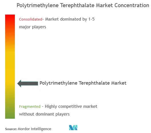 Polytrimethylene Terephthalate Market - Market Concentration.png