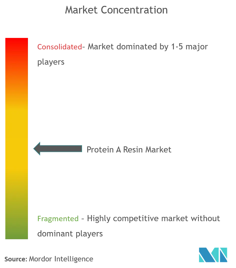 Protein A Resin Market Concentration.png