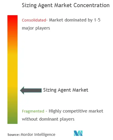 Sizing Agent Market Concentration