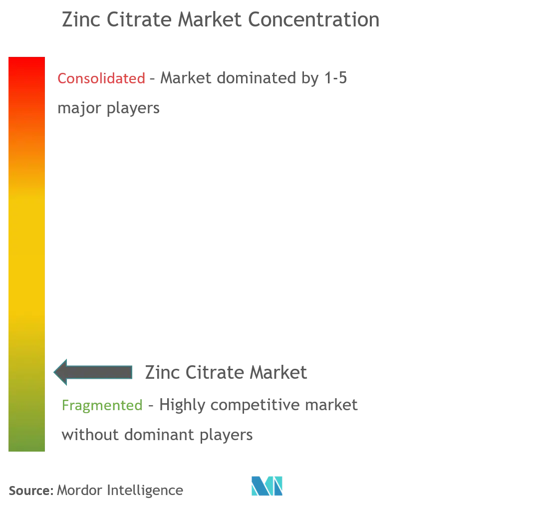 Citrato de zincConcentración del Mercado