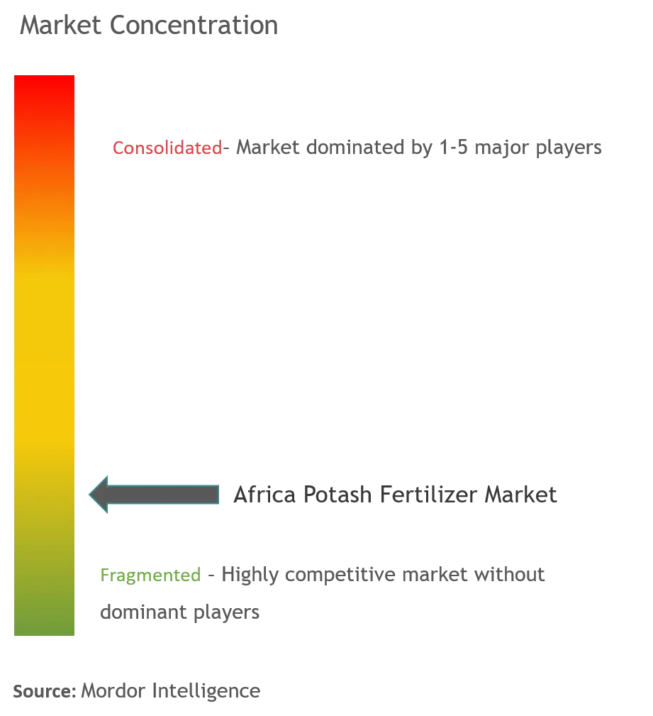 Fertilizante potásico de ÁfricaConcentración del Mercado