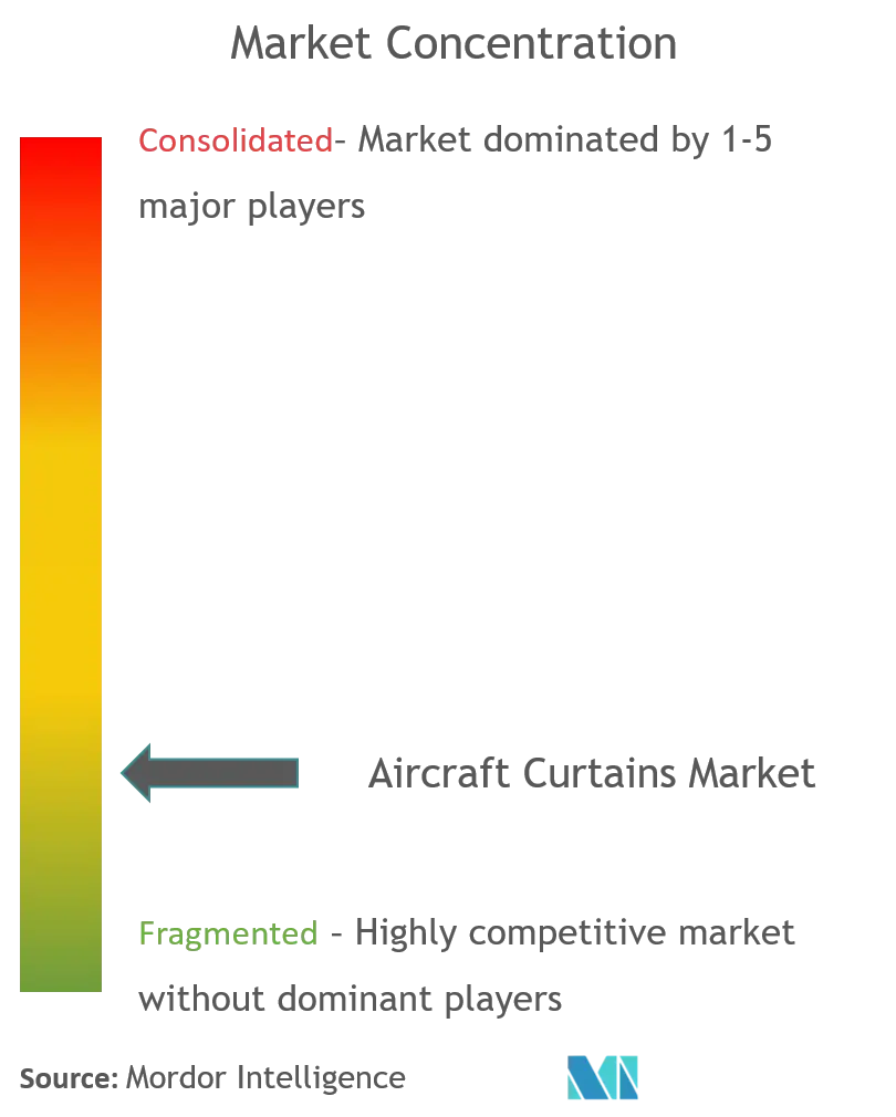 aircraft curtains market_competitive landscape.png