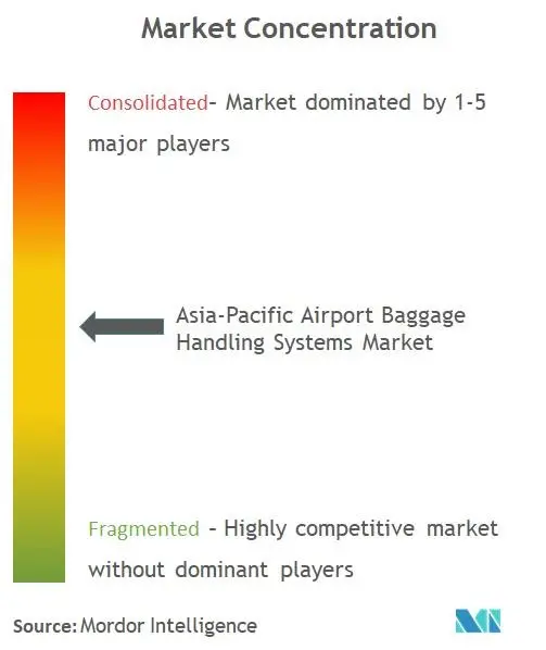 Hệ thống xử lý hành lý khu vực Châu Á - Thái Bình Dương market_competitive.png.jpg