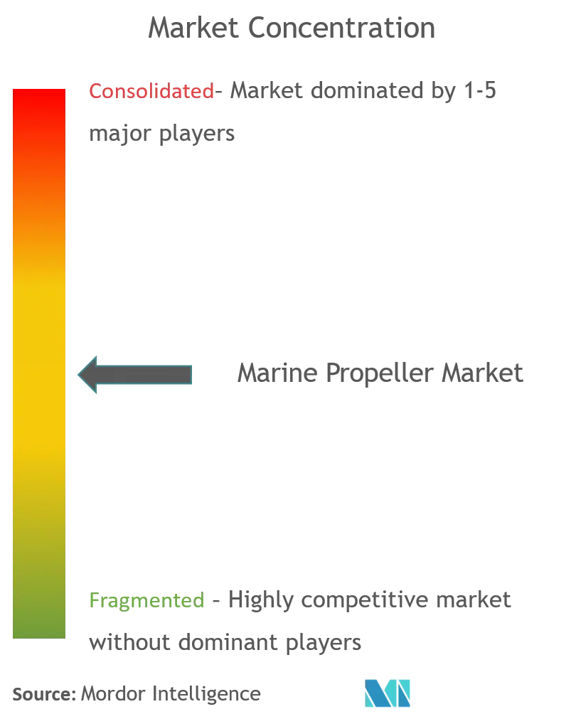 Mecklenburger Metallguss GmbH (MMG), Wärtsilä Oyj Abp, MAN Energy Solutions, Hyundai Heavy Industries Co., Ltd, SCHOTTEL