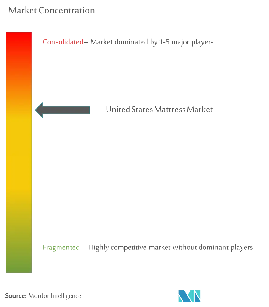Matelas États-UnisConcentration du marché