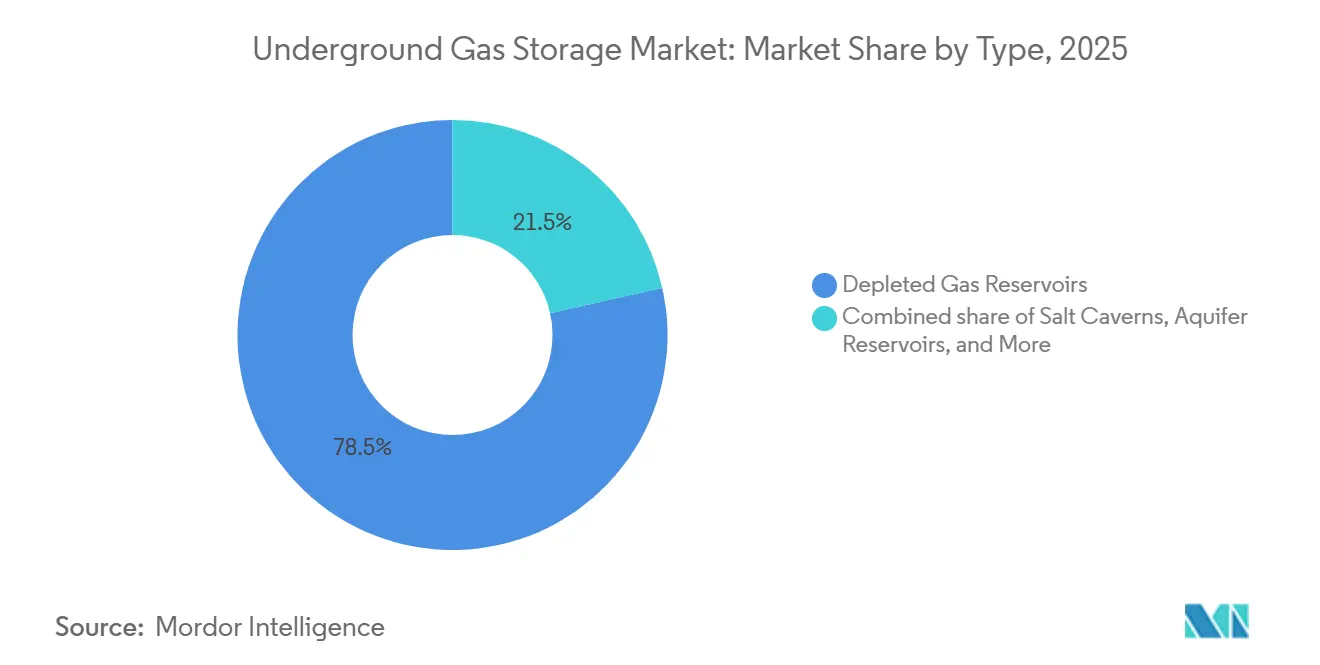 Underground Gas Storage Market Share by Type, 2025
