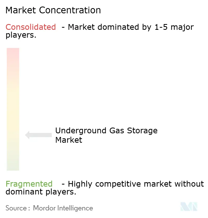 Underground Gas Storage Market