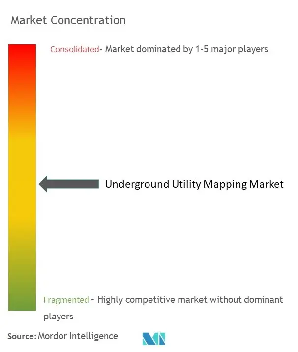 Underground Utility Mapping Market Concentration