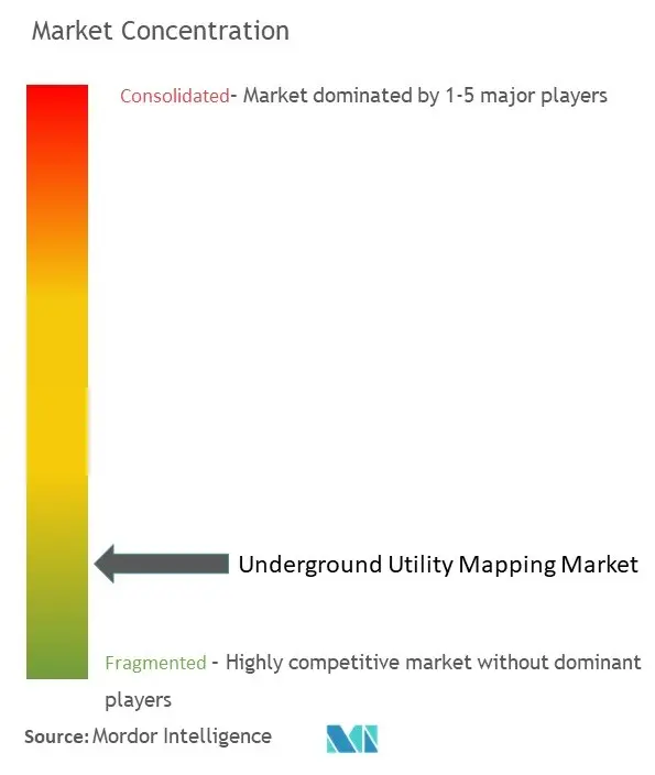 地下施設のマッピング市場集中度