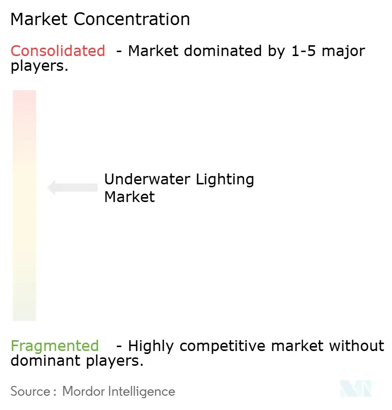 Eaton Corporation, Signify Holding, Acuity Brands Inc, Hayward Industries Inc, Lumitec LLC