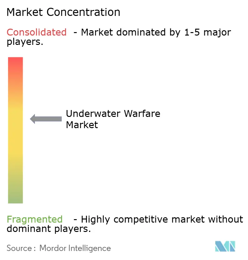Underwater Warfare Market Concentration