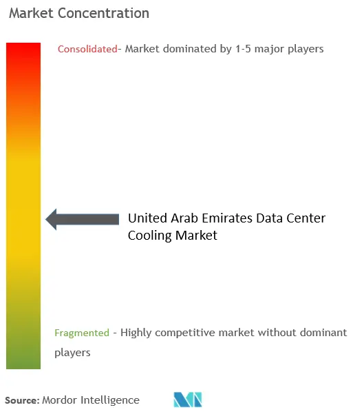 United Arab Emirates Data Center Cooling Market Concentration