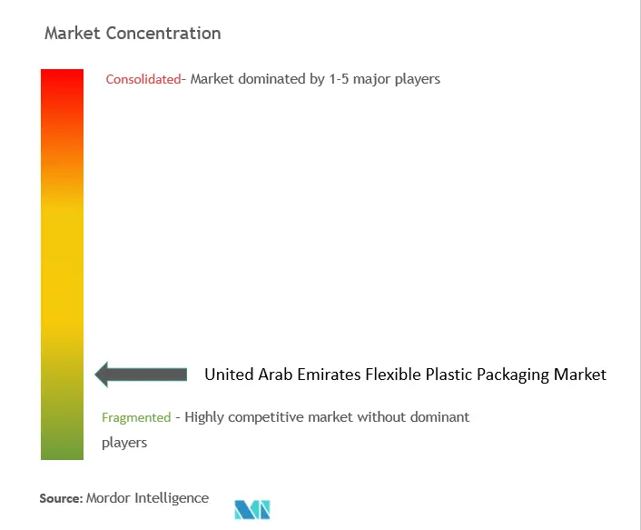 United Arab Emirates Flexible Plastic Packaging Market Concentration