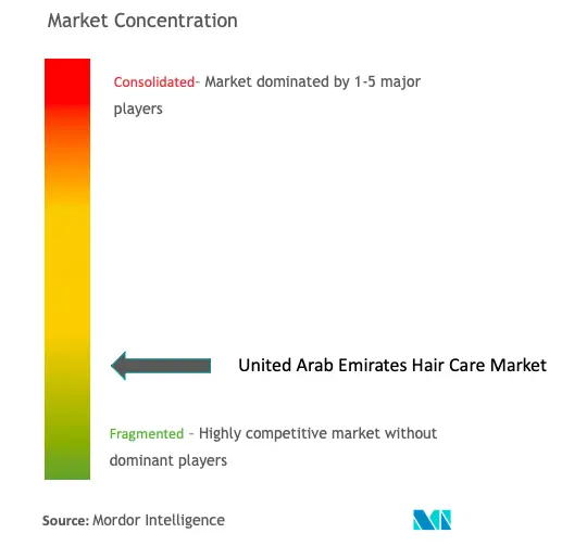 アラブ首長国連邦ヘアケア市場の集中度