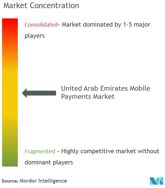 UAE Mobile Payments Market Concentration