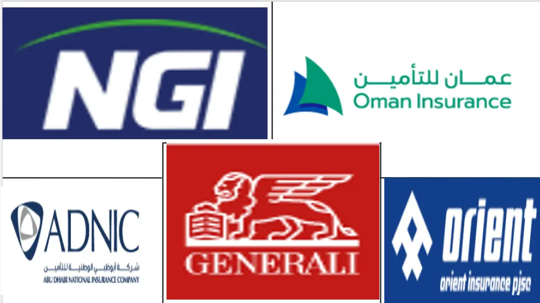  Mercado de seguros de automóviles de los Emiratos Árabes Unidos Major Players