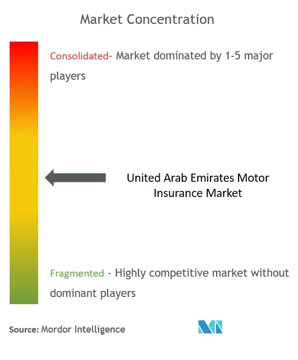United Arab Emirates Motor Insurance Market Concentration