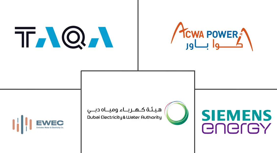 Top United Arab Emirates Power EPC Major Players