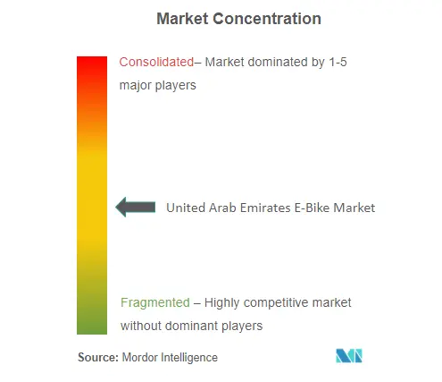 United Arab Emirates E-Bike Market Concentration