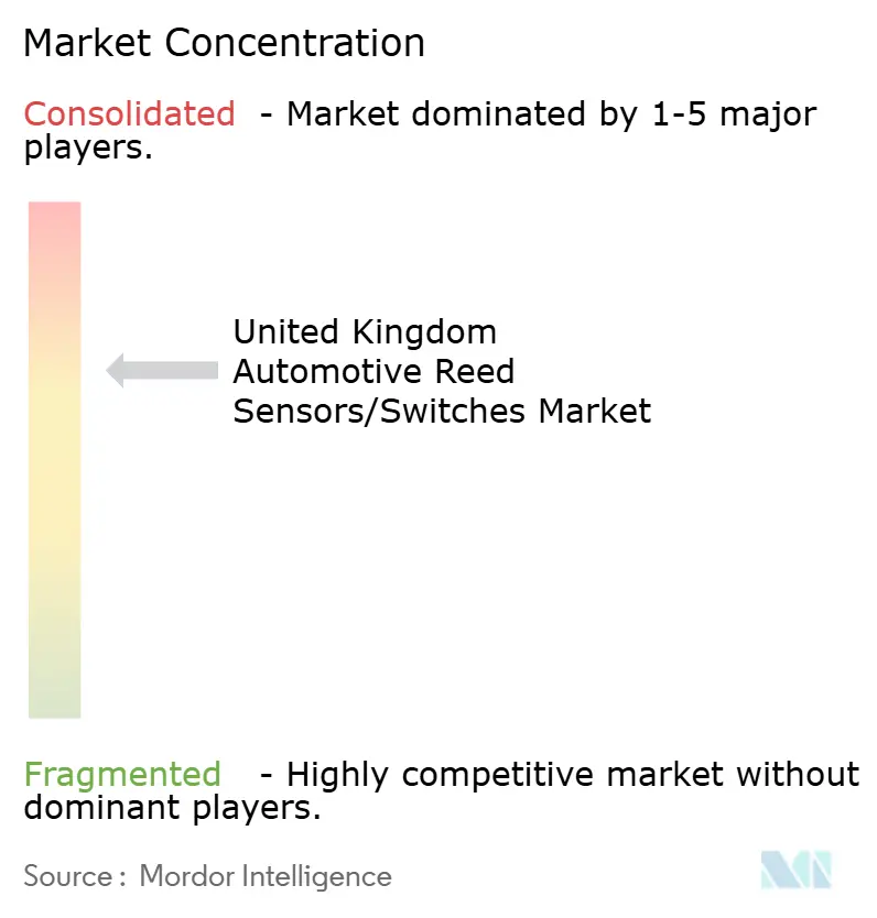 United Kingdom Automotive Reed Sensors/Switches Market Concentration