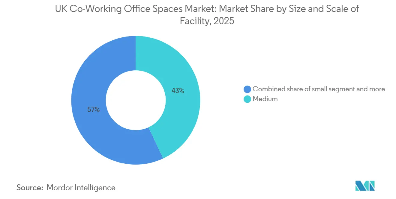 UK Co-Working Office Spaces Market: Market Share by Size and Scale of Facility